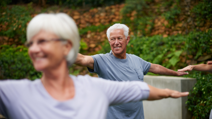 Sindnapi - Sindicato Nacional dos Aposentados, Pensionistas e Idosos