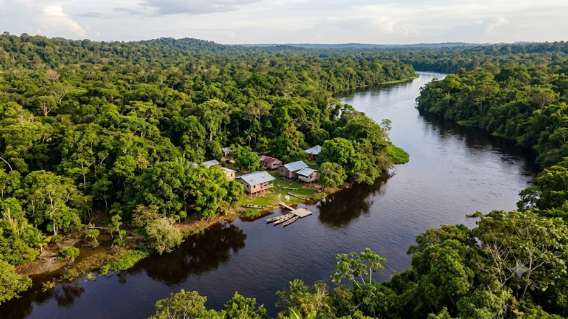 Amazonas registra queda de 57% no desmatamento em 2026: o que os novos dados significam para Manaus e o interior